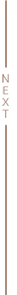 Next Image